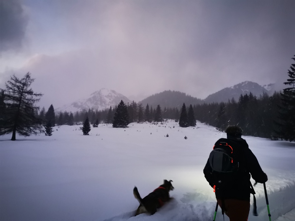 Ski touring at dusk with a dog, mountains behind